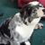 Glenise Weatherly-Cross's profile image