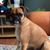 Mary Beth Rife Mierz's profile image