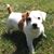 Cheryl Chadwell McElvany's profile image