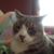 Jennifer Kemp Grady's profile image