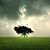 BethAnn Roesler's profile image