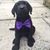 Kenneth Fitzgerald Chaney's profile image