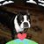 Nita Buzz Ward's profile image