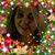 Linda Gallant's profile image