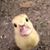 Stacy Russakow's profile image