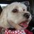 Lauraine White's profile image