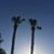 Lynn Hichborn Zediak's profile image