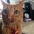 Jamie Price's profile image