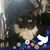 Megan Mamaty's profile image