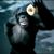 Dave Cook's profile image