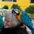 Leslie Manes's profile image
