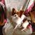 Nancy Swieter's profile image