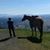 Maureen Polcuch's profile image
