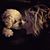 Kristen Maynard's profile image