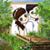 Le Toi's profile image