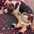 Madeline Franqui Motton's profile image