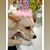Norma King's profile image