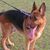 Amar Roy's profile image