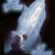 Jeanette Clark's profile image