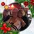 Gerri Smit-Holat's profile image