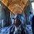 Fabiana Rocha's profile image