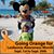 Barb Honnold's profile image