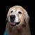 Rachel Olson's profile image