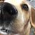 Sue Meskill Smothers's profile image