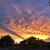 Raquel Lynskey's profile image