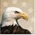 Grant Rosensteel's profile image
