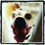 Julie Walker's profile image