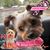 Debbie Cronin's profile image