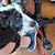 Kelly Smith's profile image