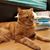 Kachang Chai's profile image