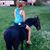Erin Stuehm's profile image