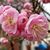 Cherie Bowers's profile image