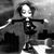 Ayat Tarek's profile image