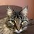 Linda Reilly's profile image