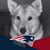 Jamie Graham's profile image