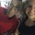 Carmen Troia's profile image