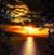 Mike Warne's profile image