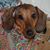 Lisa Coleman's profile image