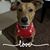 Drkathleen Lambe's profile image