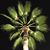 Susan Hawkins-Pavlovsky's profile image