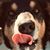 Cindy Hrvol's profile image