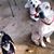 Pam Hale's profile image