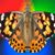 Patrick J. Lynch's profile image
