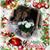 Carol Petersen's profile image