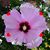 Melissa Jo Empie's profile image