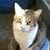 Kenneth B Corter's profile image